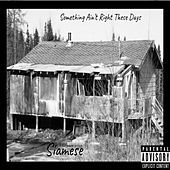 Thumbnail for the Siamese - Something Ain't Right These Days link, provided by host site