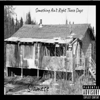 Thumbnail for the Siamese - Something Ain't Right These Days link, provided by host site
