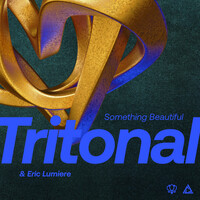 Thumbnail for the Tritonal - Something Beautiful link, provided by host site