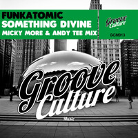 Thumbnail for the Funkatomic - Something Divine (Micky More & Andy Tee Mix) link, provided by host site