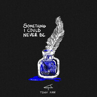 Thumbnail for the Tony Ann - Something I Could Never Be link, provided by host site