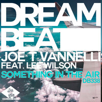 Thumbnail for the Joe T Vannelli - Something In The Air link, provided by host site