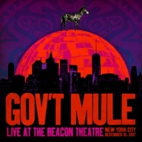 Thumbnail for the Gov't Mule - Something in the Air link, provided by host site