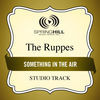 Thumbnail for the The Ruppes - Something In the Air (Studio Track) link, provided by host site