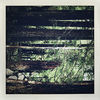 Thumbnail for the Moosefly - Something In the Trees link, provided by host site