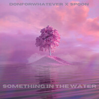 Thumbnail for the Spoon - Something In The Water link, provided by host site