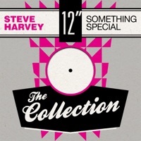 Thumbnail for the Steve Harvey - Something Special: The Collection link, provided by host site