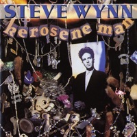 Thumbnail for the Steve Wynn - Something To Remember Me By link, provided by host site