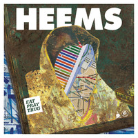 Thumbnail for the Heems - Sometimes link, provided by host site