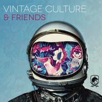 Thumbnail for the Vintage Culture - Sometimes - Shapeless Remix link, provided by host site