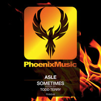Thumbnail for the Asle - Sometimes (Todd Terry Remix) link, provided by host site