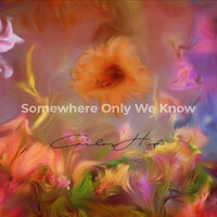 Thumbnail for the TOM CHAPLIN - Somewhere Only We Know (Piano Version) link, provided by host site