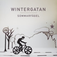 Thumbnail for the Wintergatan - Sommarfågel link, provided by host site