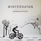 Image of Wintergatan linking to their artist page due to link from them being at the top of the main table on this page