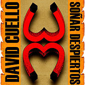 Thumbnail for the David Cuello - Soñar Despiertos link, provided by host site