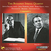 Thumbnail for the Boris Kroyt - Sonata for Viola and Piano, Op. 11, No. 4: I. Fantasie link, provided by host site