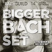 Thumbnail for the Paula Robison - Sonata in A Major for Flute and Harpsichord, BWV 1020: i. [Allegro] link, provided by host site
