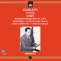 Thumbnail for the Domenico Scarlatti - Sonata in B Minor, L. 33 link, provided by host site