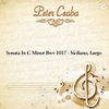 Thumbnail for the Peter Csaba - Sonata In C Minor Bwv 1017 - Siciliano, Largo link, provided by host site