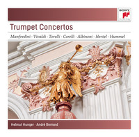 Thumbnail for the Arcangelo Corelli - Sonata in D Major for Trumpet, Two Violins and Continuo: II. Allegro link, provided by host site