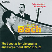 Thumbnail for the Sebastian Hess - Sonata No. 1 in G Major, BWV 1027: II. Allegro ma non tanto link, provided by host site