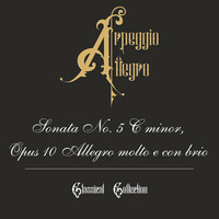 Thumbnail for the Ludwig van Beethoven - Sonata No. 5 C minor, Opus 10 Allegro molto e con brio link, provided by host site