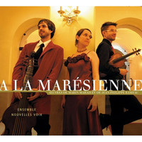 Thumbnail for the Marin Marais - Sonate à la marésienne: Un peu grave link, provided by host site