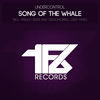 Thumbnail for the Undercontrol - Song of the Whale link, provided by host site