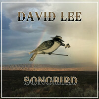 Thumbnail for the David Lee - Songbird link, provided by host site