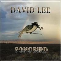 Thumbnail for the David Lee - Songbird link, provided by host site