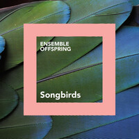 Thumbnail for the Ensemble Offspring - Songbirds link, provided by host site