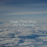 Thumbnail for the Meditation Spa - Songs | Deep Sleep and Relaxation link, provided by host site