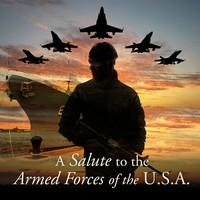 Thumbnail for the US Air Force Band Of The Rockies - Songs of the U.S. Air Force: Go Falcons link, provided by host site