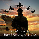 Thumbnail for the US Air Force Band Of The Rockies - Songs of the U.S. Air Force: Sound Off, Air Force Blue link, provided by host site