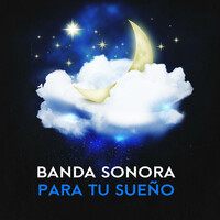 Image of Bien Dormir linking to their artist page due to link from them being at the top of the main table on this page