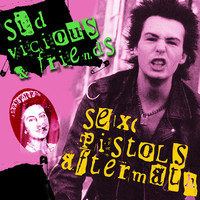 Thumbnail for the Wayne Kramer - Sonic Reducer link, provided by host site