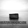 Thumbnail for the Silicon Syndicate - Sonic Tectonic link, provided by host site