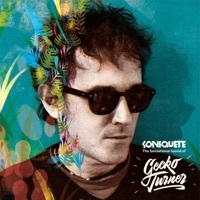 Image of Gecko Turner linking to their artist page due to link from them being at the top of the main table on this page