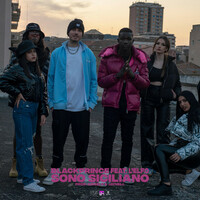 Thumbnail for the Black Prince - Sono Siciliano link, provided by host site