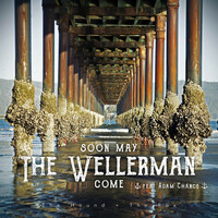 Thumbnail for the The Hound + The Fox - Soon May the Wellerman Come link, provided by host site