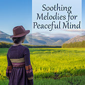 Thumbnail for the The Rest - Soothing Melodies for Peaceful Mind – Relaxing Note, New Age Relaxation, Rest with Soft Sounds, Music to Calm Down link, provided by host site