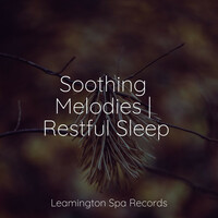 Thumbnail for the Sleep Songs 101 - Soothing Melodies | Restful Sleep link, provided by host site