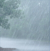 Thumbnail for the White Noise for Studying - Soothing Rain for Background Sounds and Natural White Noise link, provided by host site
