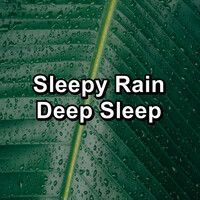 Thumbnail for the Sounds of Nature Relaxation - Soothing Rain for Brain Relaxation and Mindfulness To Repeat for 10 Hours link, provided by host site