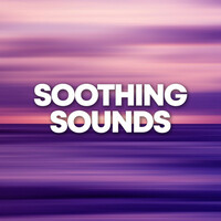 Thumbnail for the Sounds Of Nature - Soothing Sounds link, provided by host site