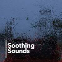 Thumbnail for the Meditation Music - Soothing Sounds link, provided by host site