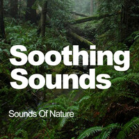 Thumbnail for the Sounds Of Nature - Soothing Sounds link, provided by host site