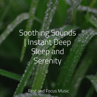 Thumbnail for the Zen Music Garden - Soothing Sounds | Instant Deep Sleep and Serenity link, provided by host site