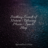Thumbnail for the Meditative Music Guru - Soothing Sounds of Nature | Relaxing Music | Spa & Sleep link, provided by host site