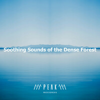 Thumbnail for the Calming Sounds - Soothing Sounds of the Dense Forest link, provided by host site